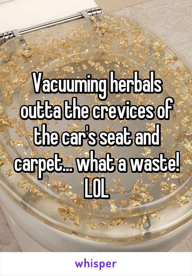 Vacuuming herbals outta the crevices of the car's seat and carpet... what a waste! LOL