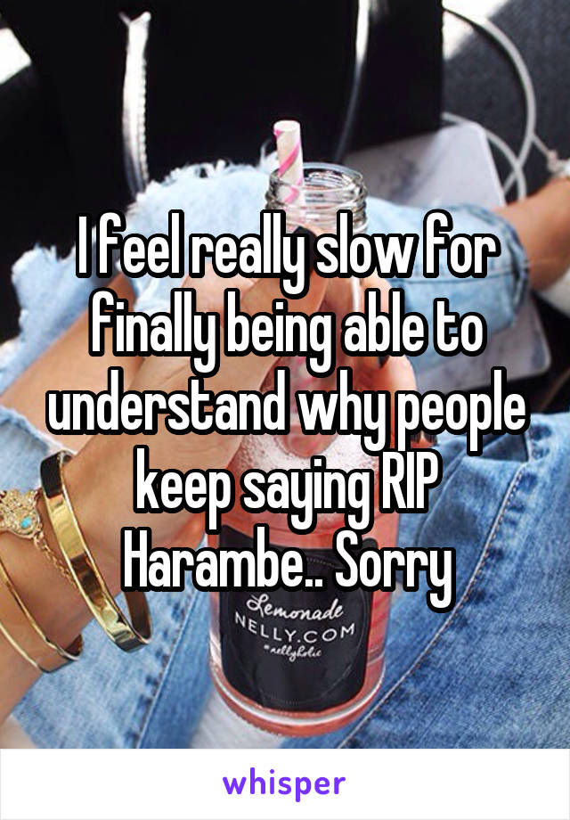 I feel really slow for finally being able to understand why people keep saying RIP Harambe.. Sorry