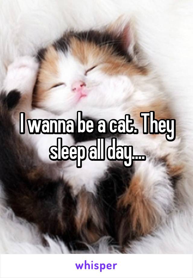 I wanna be a cat. They sleep all day....