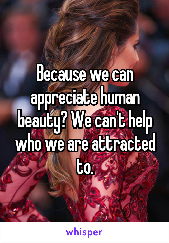 Because we can appreciate human beauty? We can't help who we are attracted to.