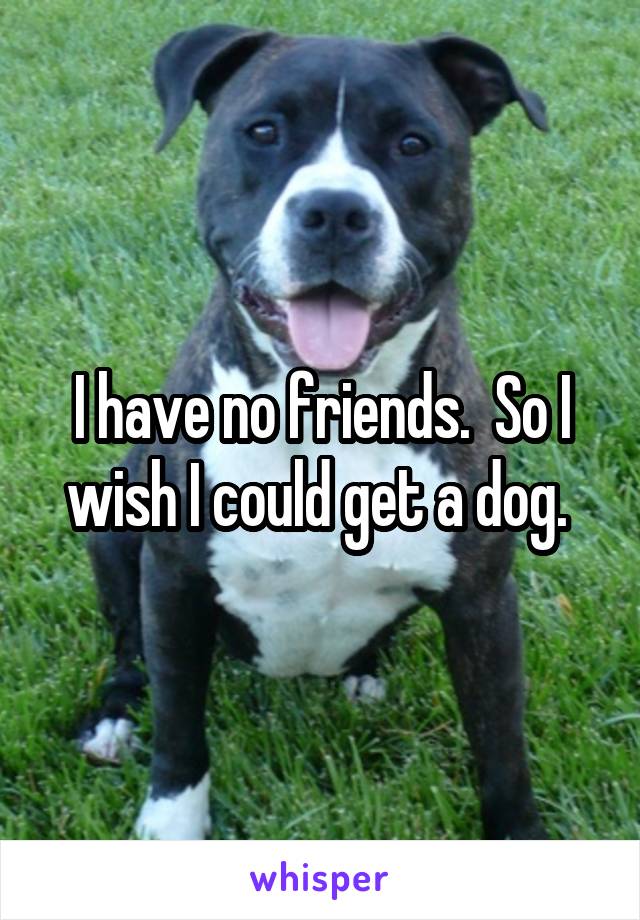 I have no friends.  So I wish I could get a dog. 