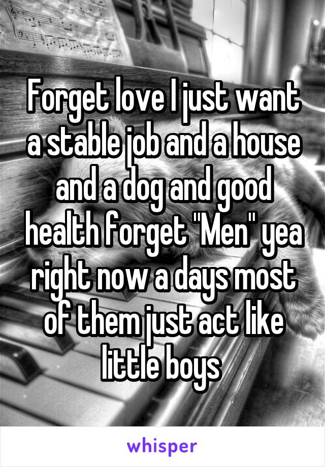 Forget love I just want a stable job and a house and a dog and good health forget "Men" yea right now a days most of them just act like little boys 