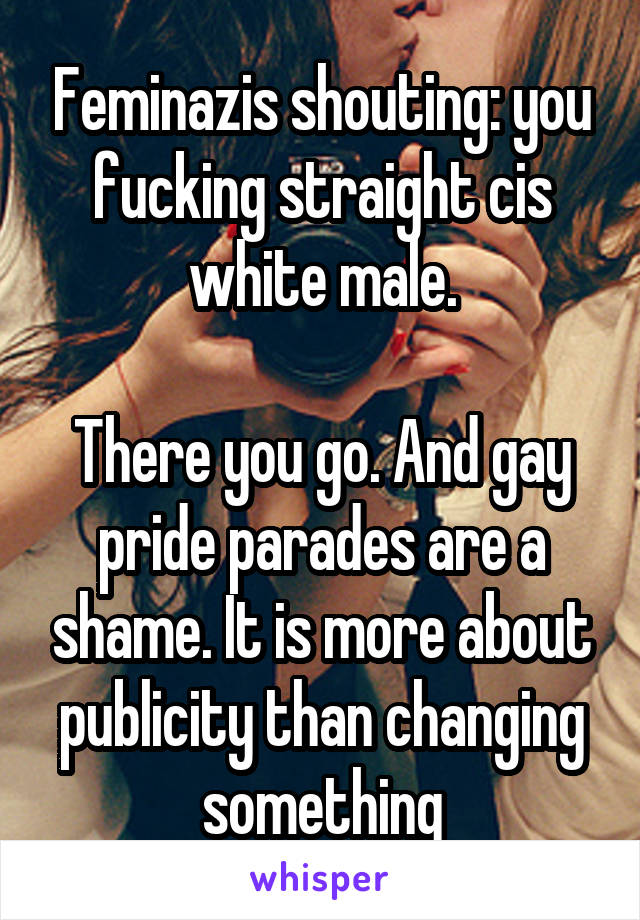 Feminazis shouting: you fucking straight cis white male.

There you go. And gay pride parades are a shame. It is more about publicity than changing something