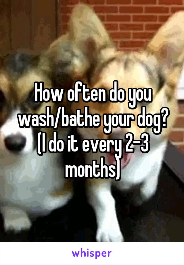 How often do you wash/bathe your dog? (I do it every 2-3 months)