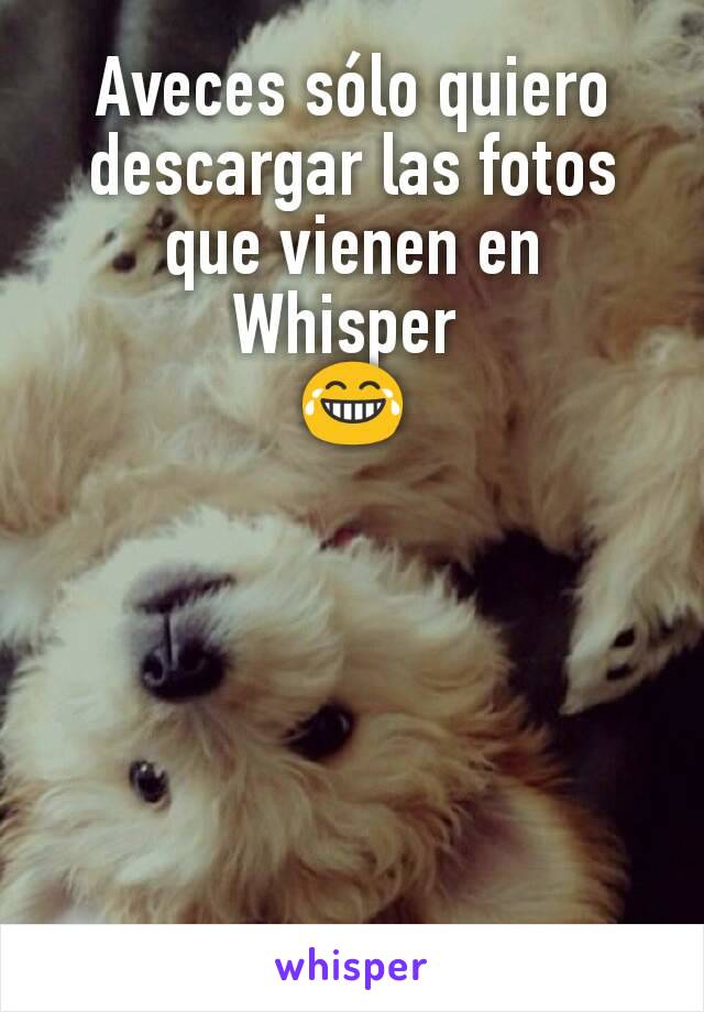 Aveces sólo quiero descargar las fotos que vienen en Whisper 
😂