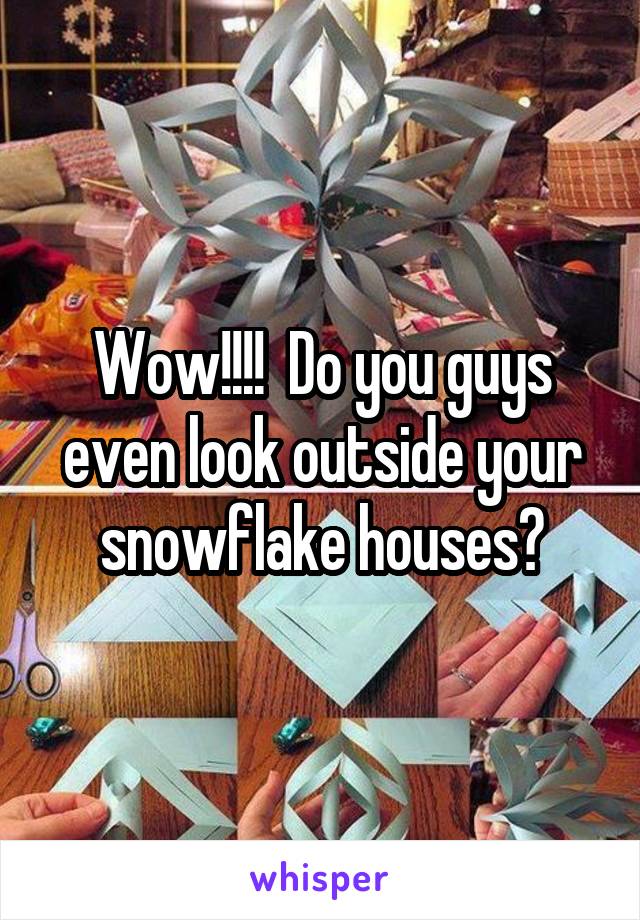 Wow!!!!  Do you guys even look outside your snowflake houses?