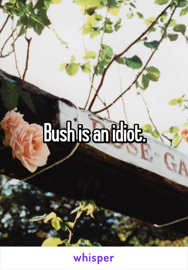 Bush is an idiot.