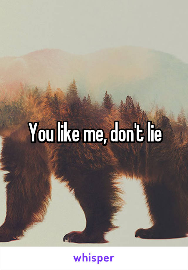 You like me, don't lie