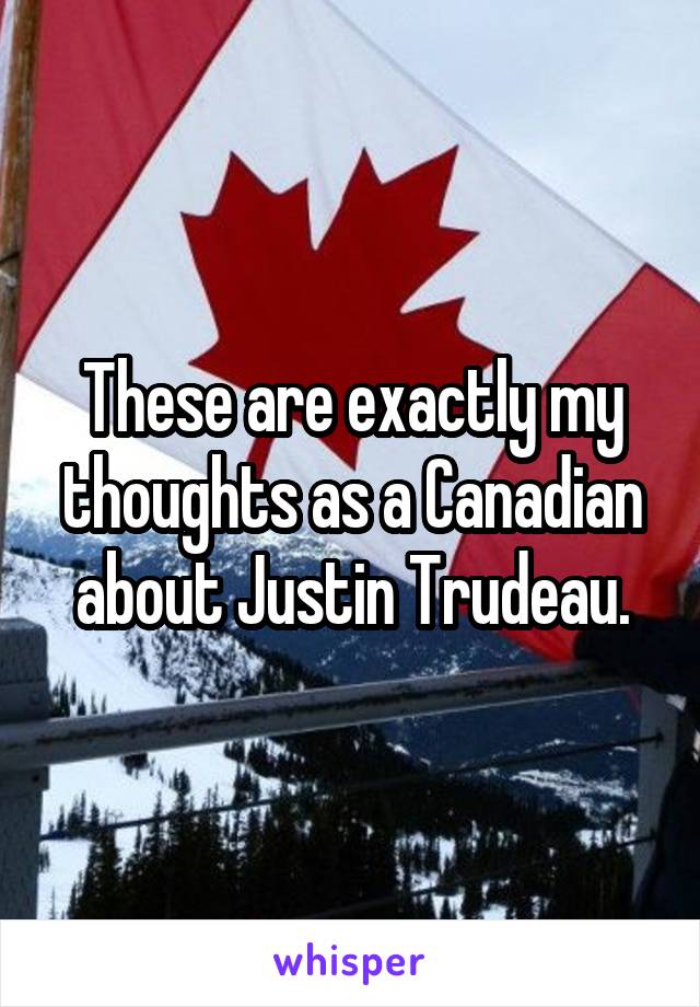 These are exactly my thoughts as a Canadian about Justin Trudeau.