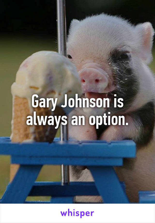 Gary Johnson is always an option.