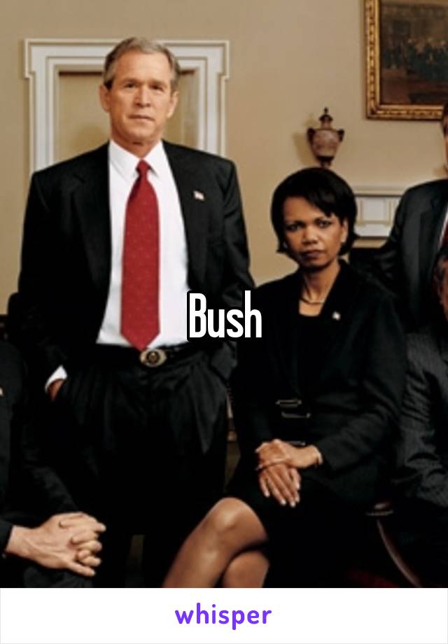 Bush