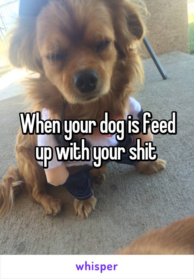 When your dog is feed up with your shit 