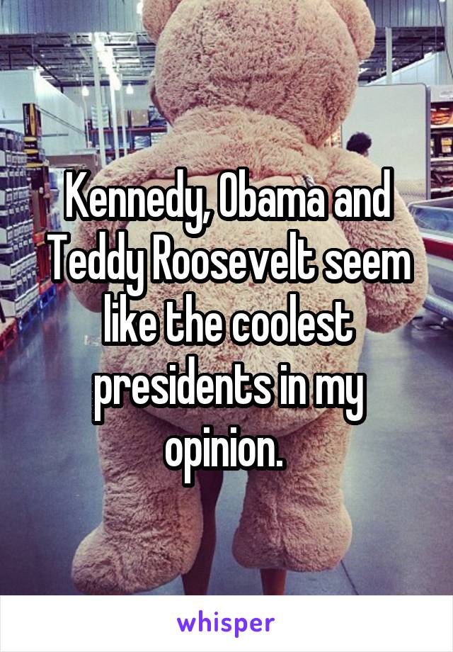 Kennedy, Obama and Teddy Roosevelt seem like the coolest presidents in my opinion. 