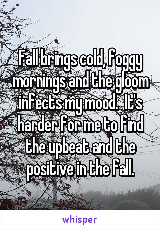 Fall brings cold, foggy mornings and the gloom infects my mood.  It's harder for me to find the upbeat and the positive in the fall.