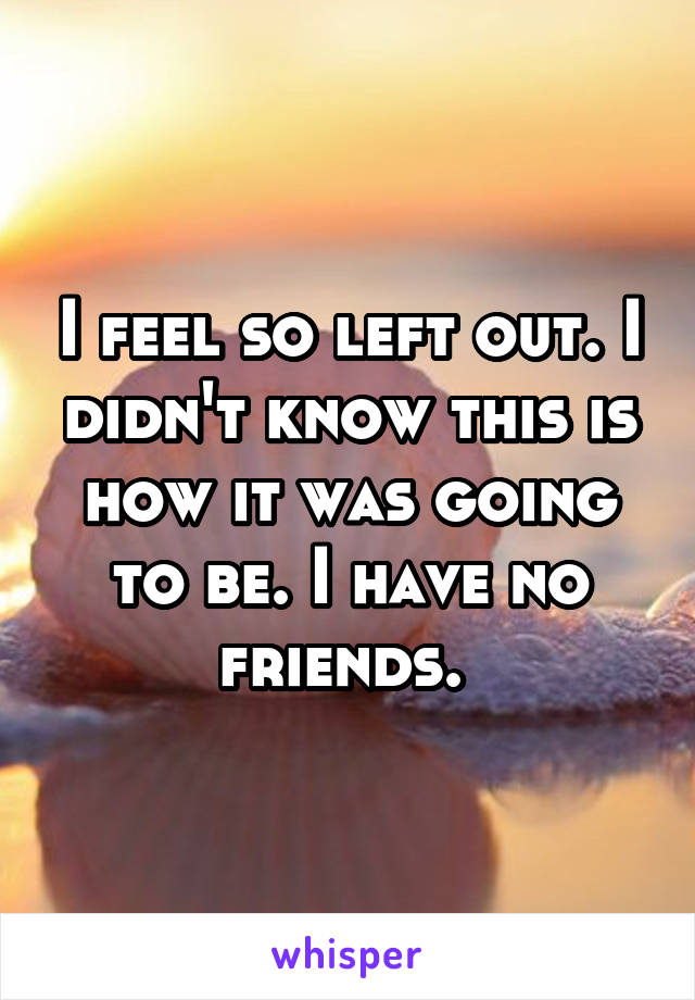 I feel so left out. I didn't know this is how it was going to be. I have no friends. 