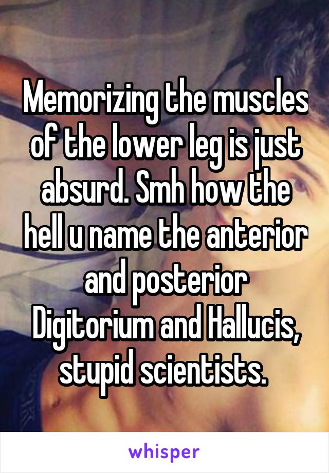 Memorizing the muscles of the lower leg is just absurd. Smh how the hell u name the anterior and posterior Digitorium and Hallucis, stupid scientists. 