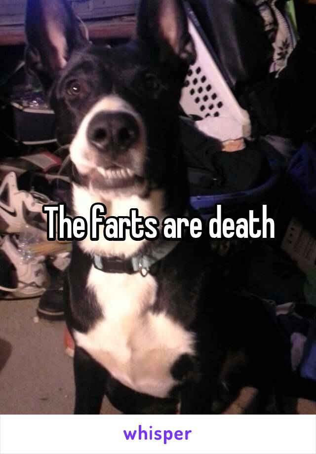 The farts are death