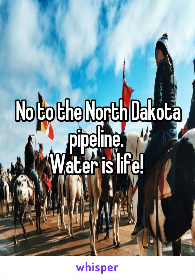 No to the North Dakota pipeline. 
Water is life! 