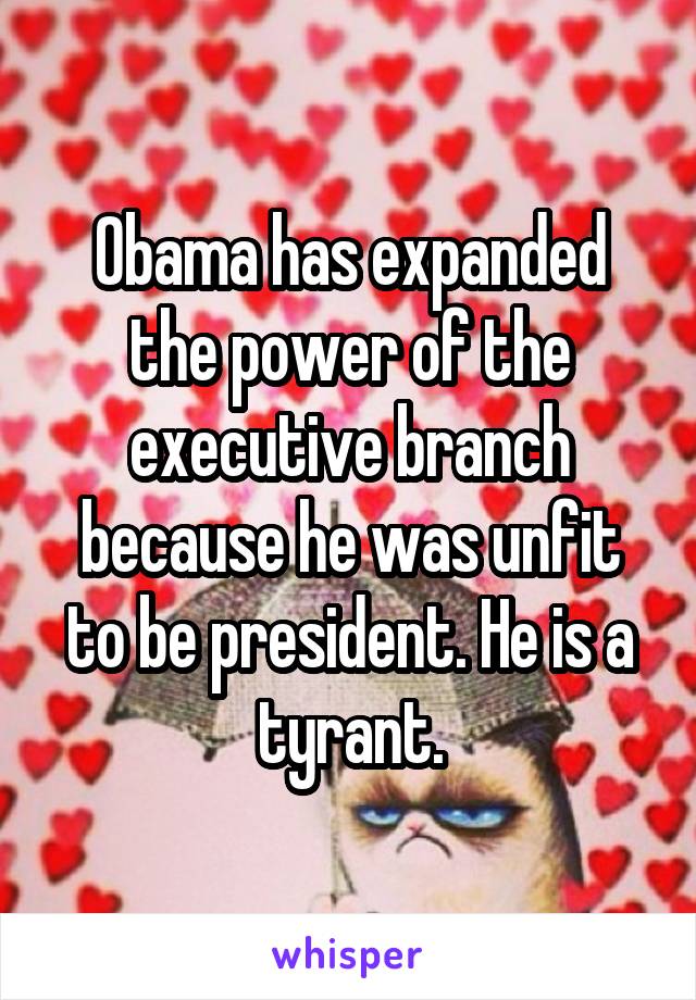 Obama has expanded the power of the executive branch because he was unfit to be president. He is a tyrant.