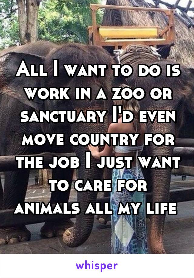 All I want to do is work in a zoo or sanctuary I'd even move country for the job I just want to care for animals all my life 