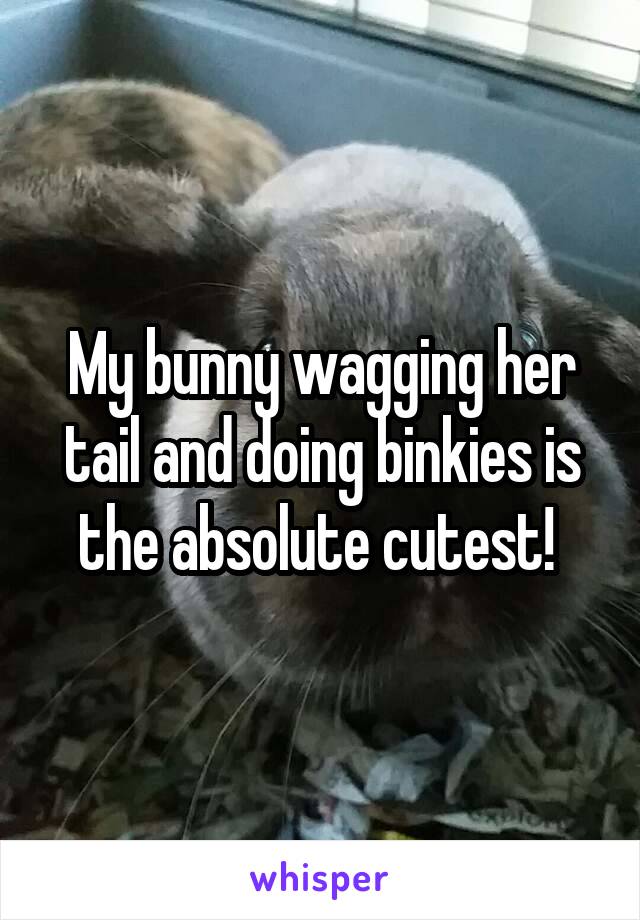 My bunny wagging her tail and doing binkies is the absolute cutest! 