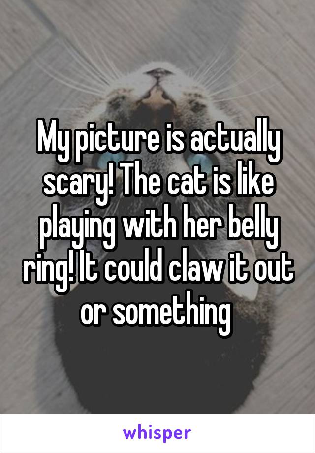 My picture is actually scary! The cat is like playing with her belly ring! It could claw it out or something 