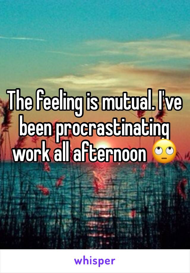 The feeling is mutual. I've been procrastinating work all afternoon 🙄