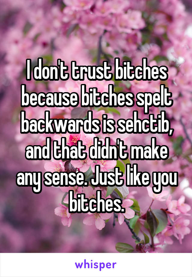 I don't trust bitches because bitches spelt backwards is sehctib, and that didn't make any sense. Just like you bitches.