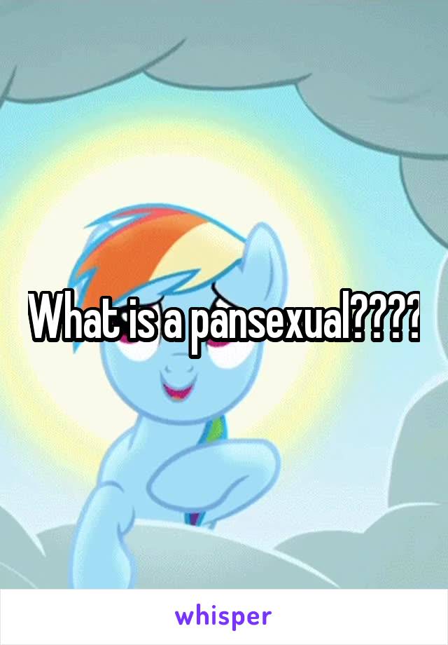 What is a pansexual????