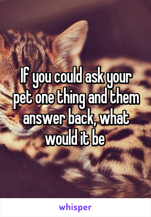 If you could ask your pet one thing and them answer back, what would it be 