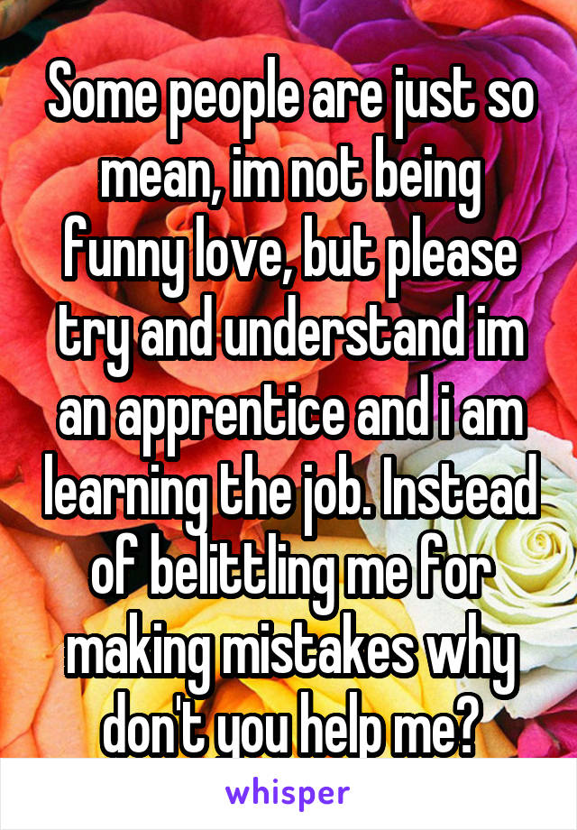 Some people are just so mean, im not being funny love, but please try and understand im an apprentice and i am learning the job. Instead of belittling me for making mistakes why don't you help me?