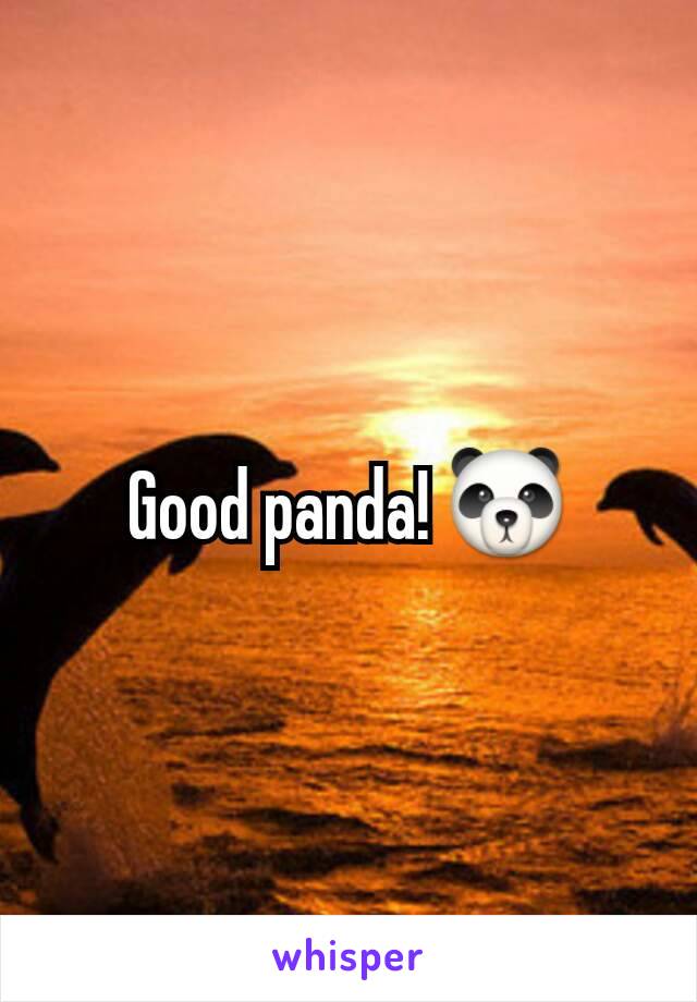 Good panda! 🐼