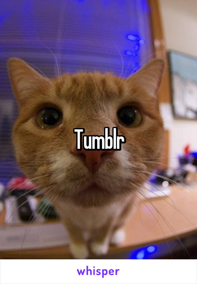 Tumblr