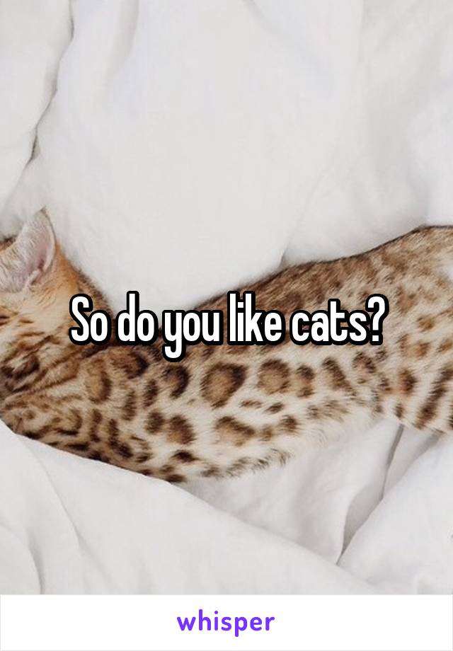 So do you like cats?