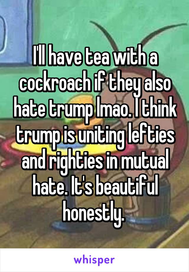 I'll have tea with a cockroach if they also hate trump lmao. I think trump is uniting lefties and righties in mutual hate. It's beautiful honestly. 