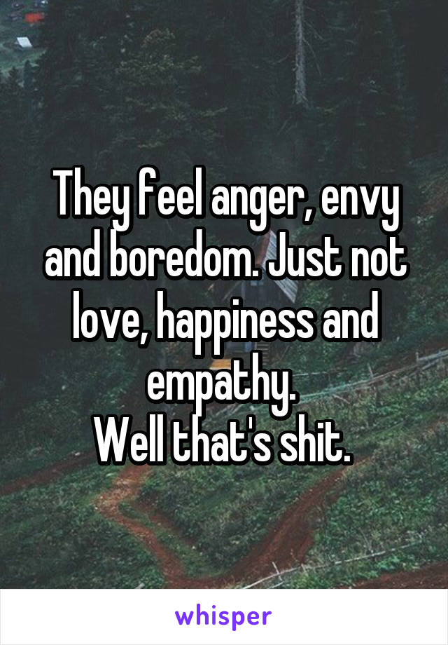 They feel anger, envy and boredom. Just not love, happiness and empathy. 
Well that's shit. 