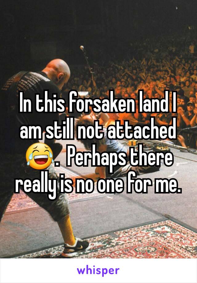 In this forsaken land I am still not attached 😂.  Perhaps there really is no one for me.