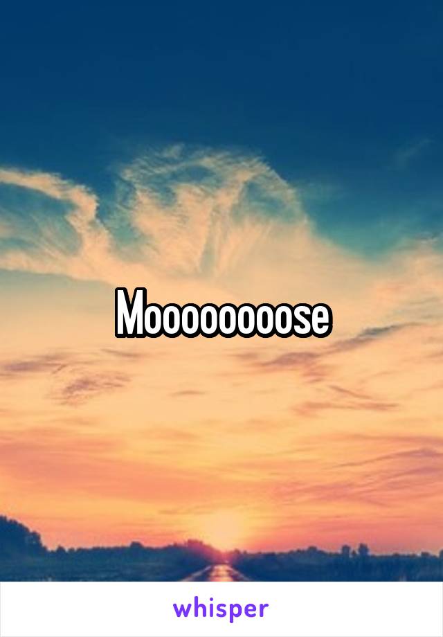 Moooooooose