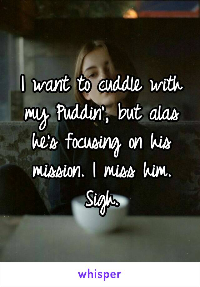 I want to cuddle with my Puddin', but alas he's focusing on his mission. I miss him. Sigh.