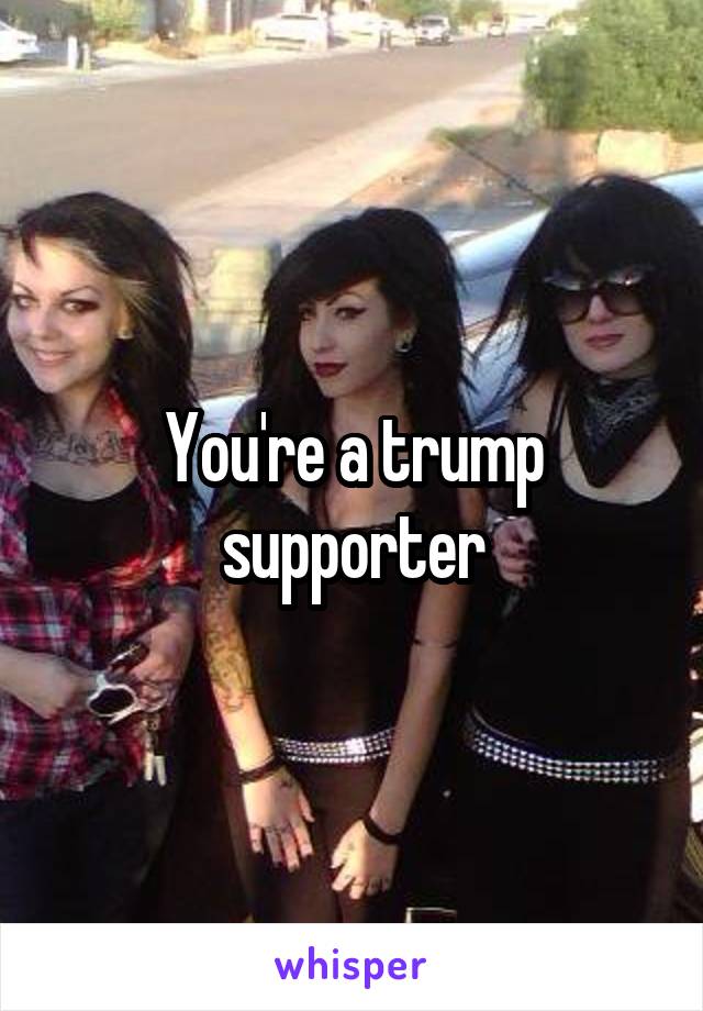 You're a trump supporter