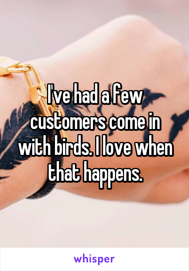 I've had a few customers come in with birds. I love when that happens.
