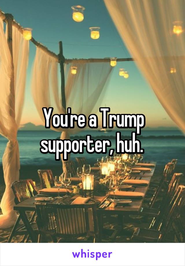 You're a Trump supporter, huh. 