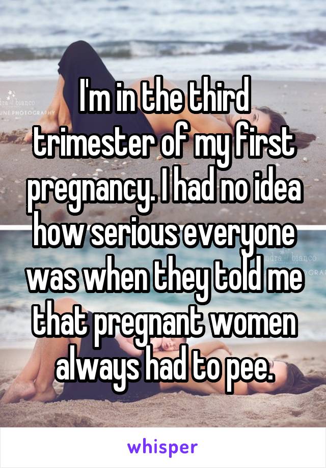 I'm in the third trimester of my first pregnancy. I had no idea how serious everyone was when they told me that pregnant women always had to pee.