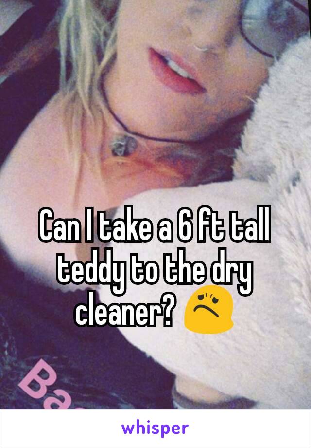 Can I take a 6 ft tall teddy to the dry cleaner? 😟