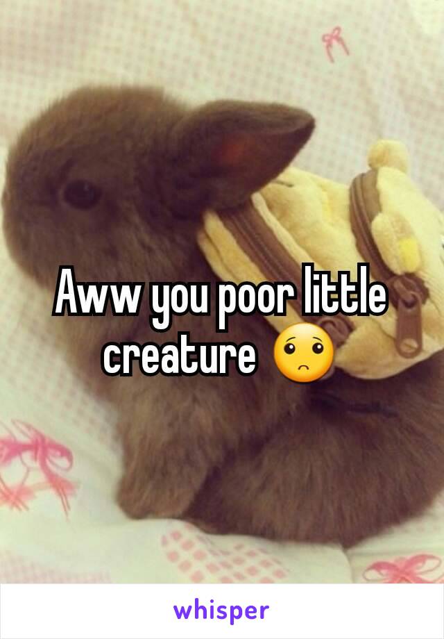 Aww you poor little creature 🙁
