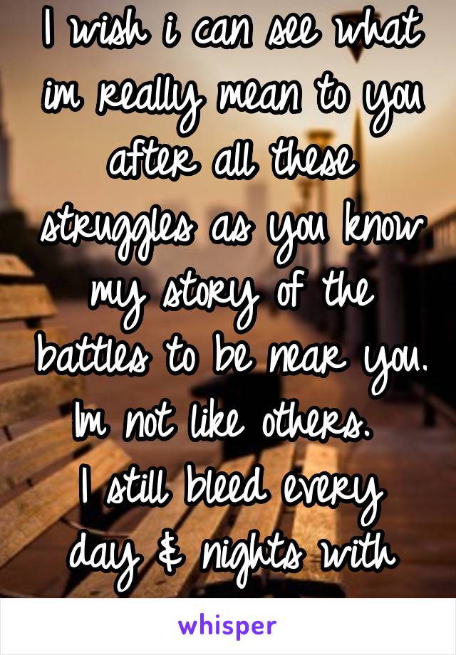 I wish i can see what im really mean to you after all these struggles as you know my story of the battles to be near you.
Im not like others. 
I still bleed every day & nights with my words