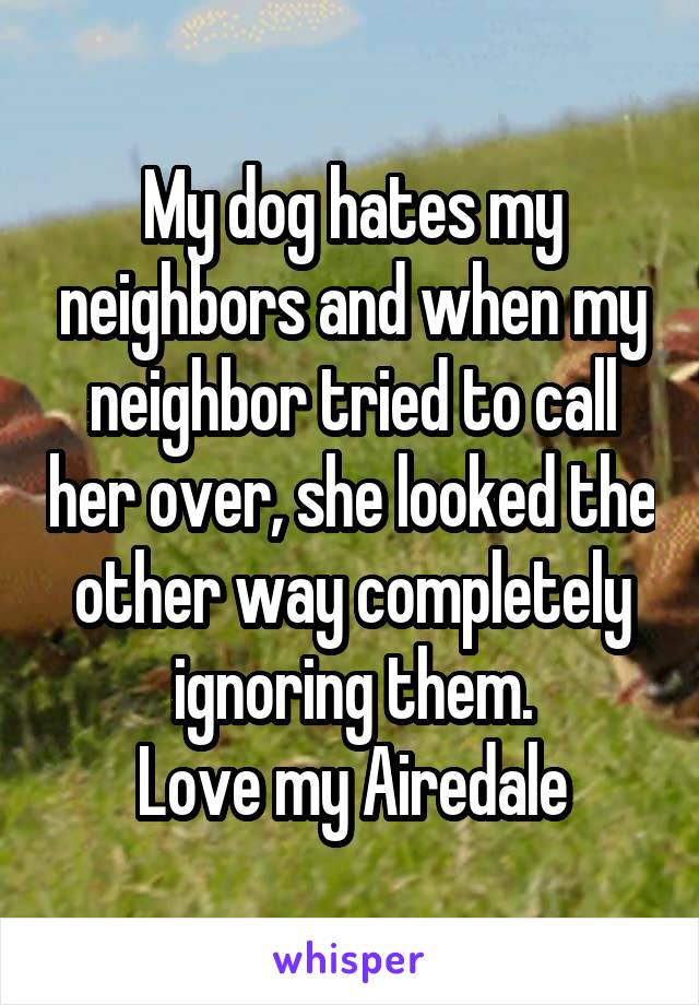 My dog hates my neighbors and when my neighbor tried to call her over, she looked the other way completely ignoring them.
Love my Airedale