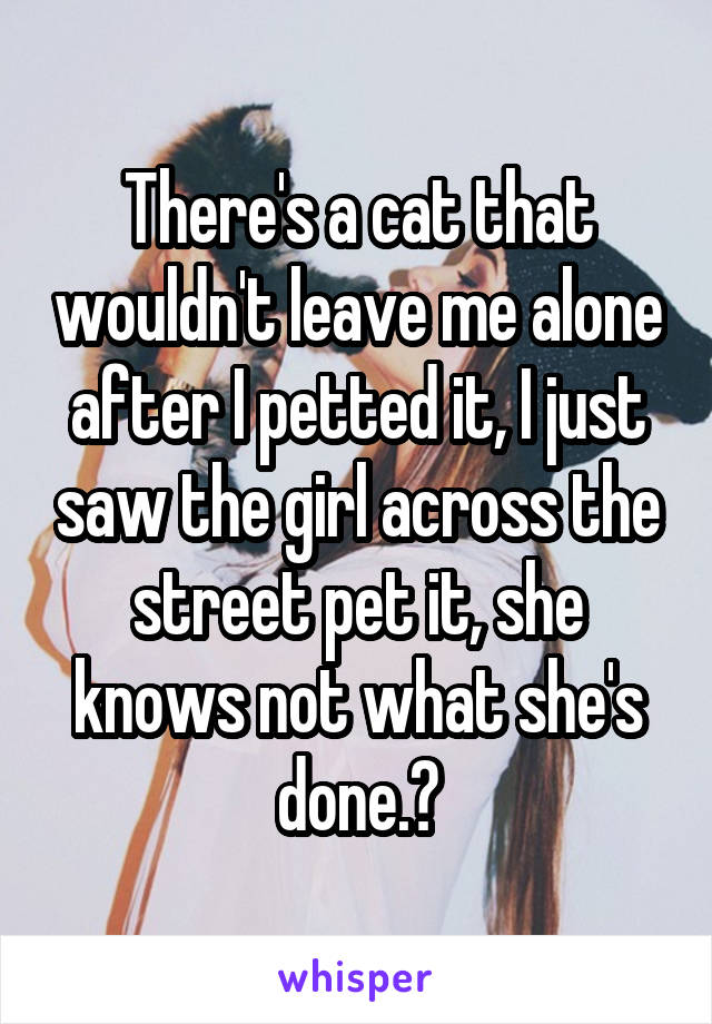 There's a cat that wouldn't leave me alone after I petted it, I just saw the girl across the street pet it, she knows not what she's done.😂