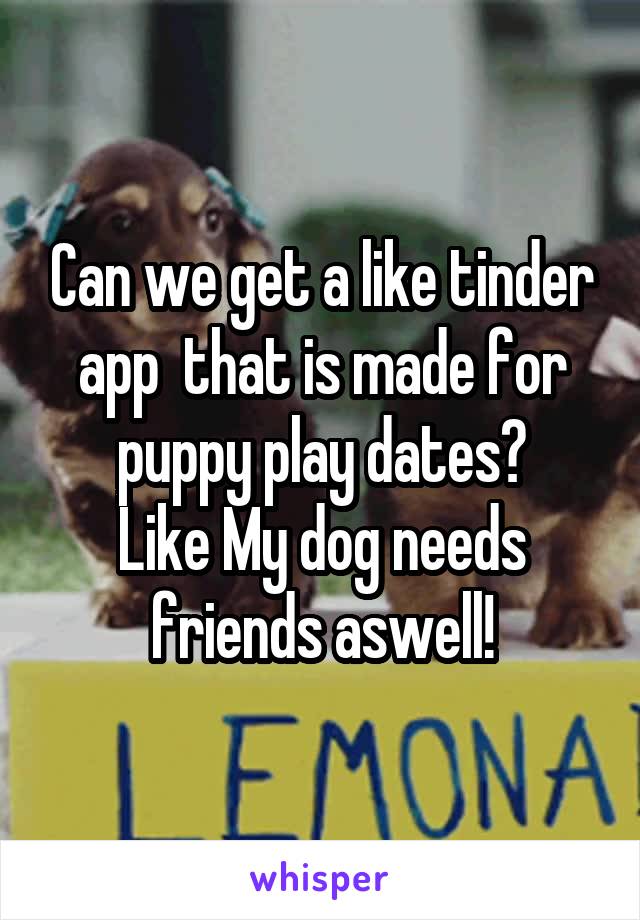 Can we get a like tinder app  that is made for puppy play dates?
Like My dog needs friends aswell!