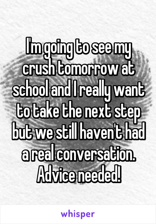 I'm going to see my crush tomorrow at school and I really want to take the next step but we still haven't had a real conversation. Advice needed!